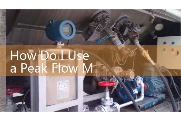 How Do I Use a Peak Flow Meter: Stand up, take a deep breath, place the mouthpiece in your mouth, blow out as hard and fast as possible, then record the reading.